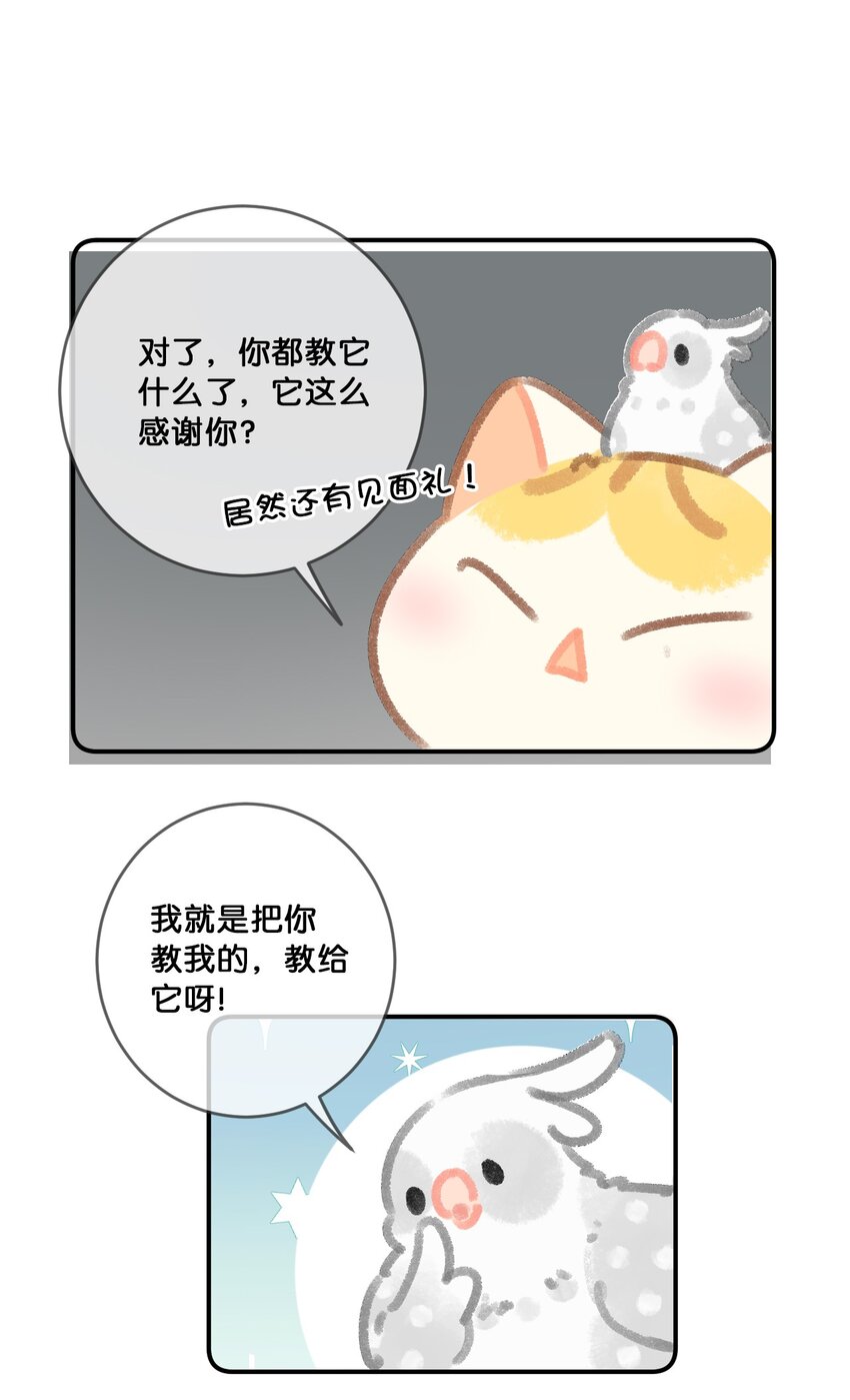 28 职场导师锅包又带出来的职场新猫！-第31话