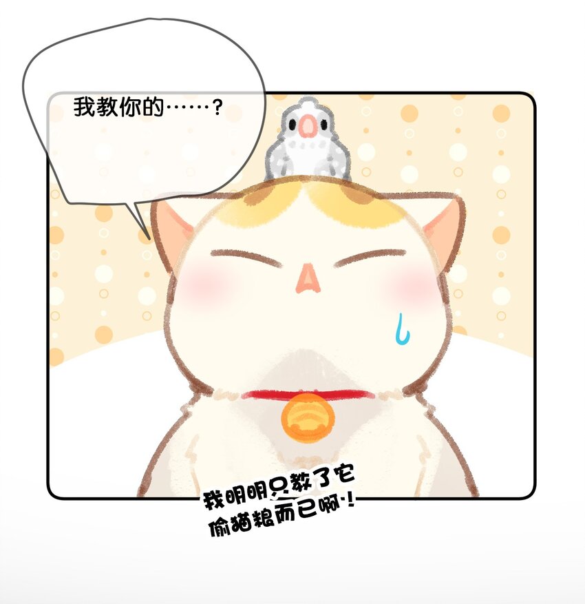 28 职场导师锅包又带出来的职场新猫！-第31话