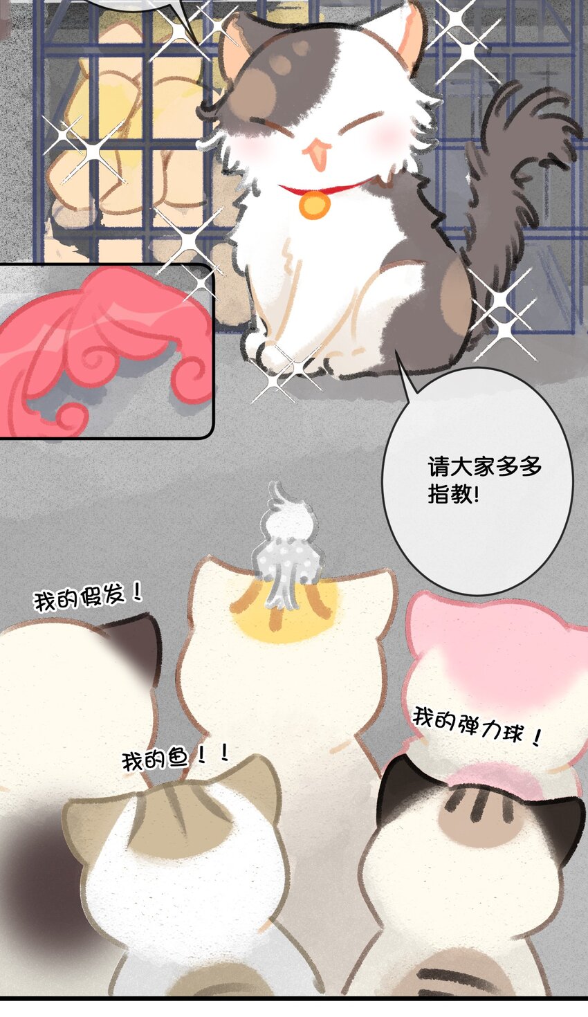 28 职场导师锅包又带出来的职场新猫！-第31话