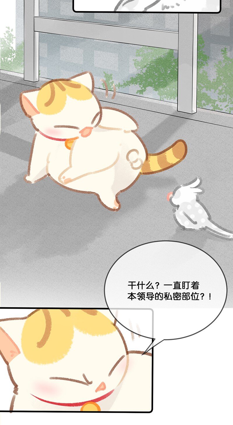 30 铃铛是高管的象征！-第33话