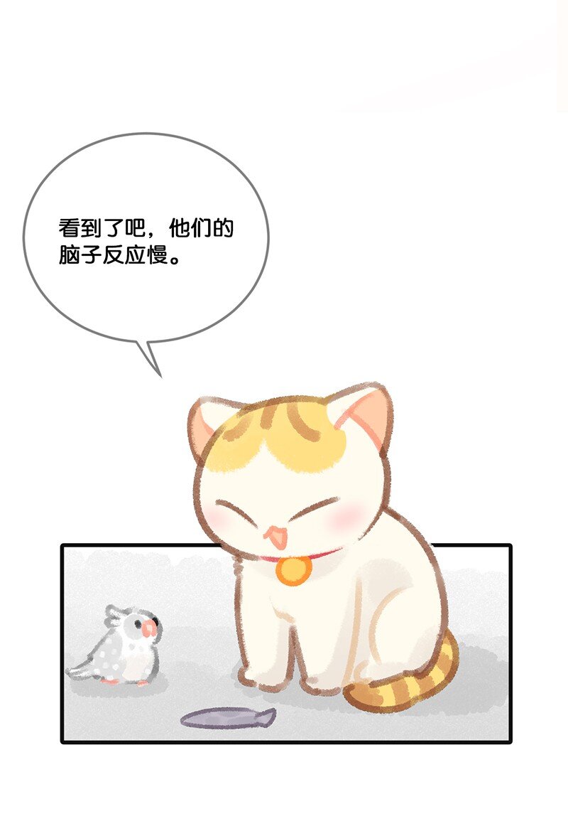 32 橘总对职场菜鸟的暖心鼓励-第35话