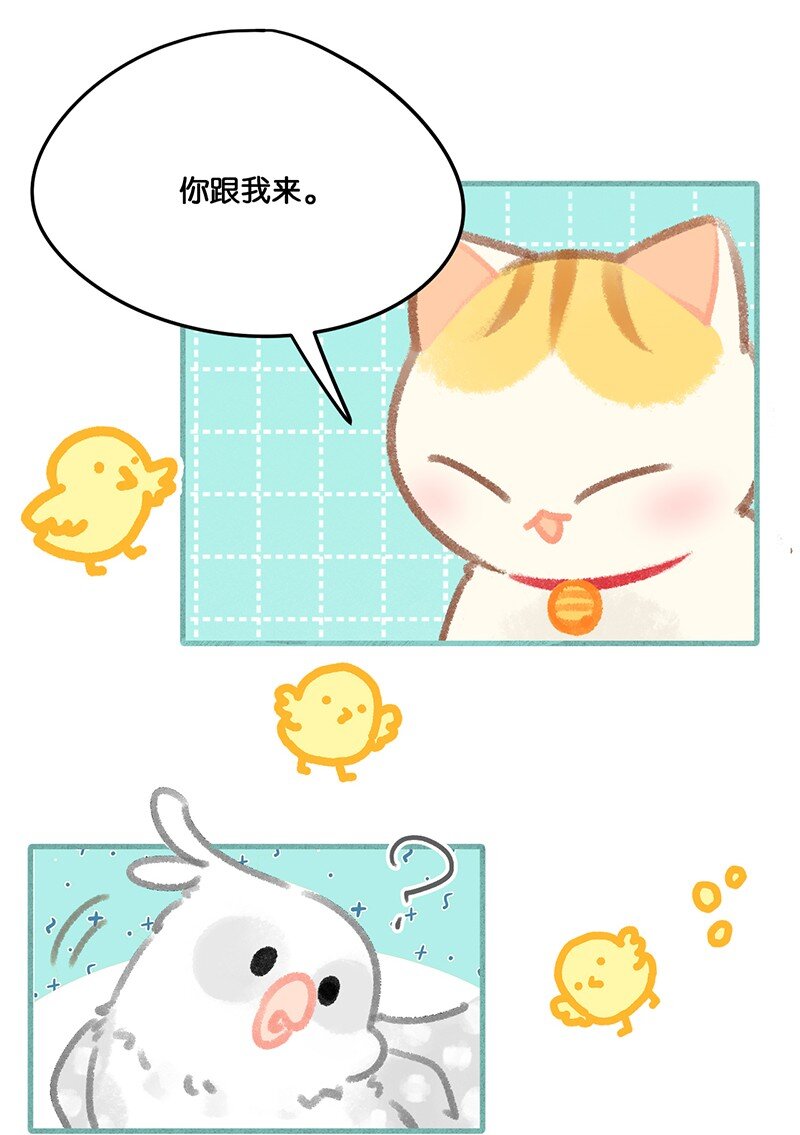 32 橘总对职场菜鸟的暖心鼓励-第35话
