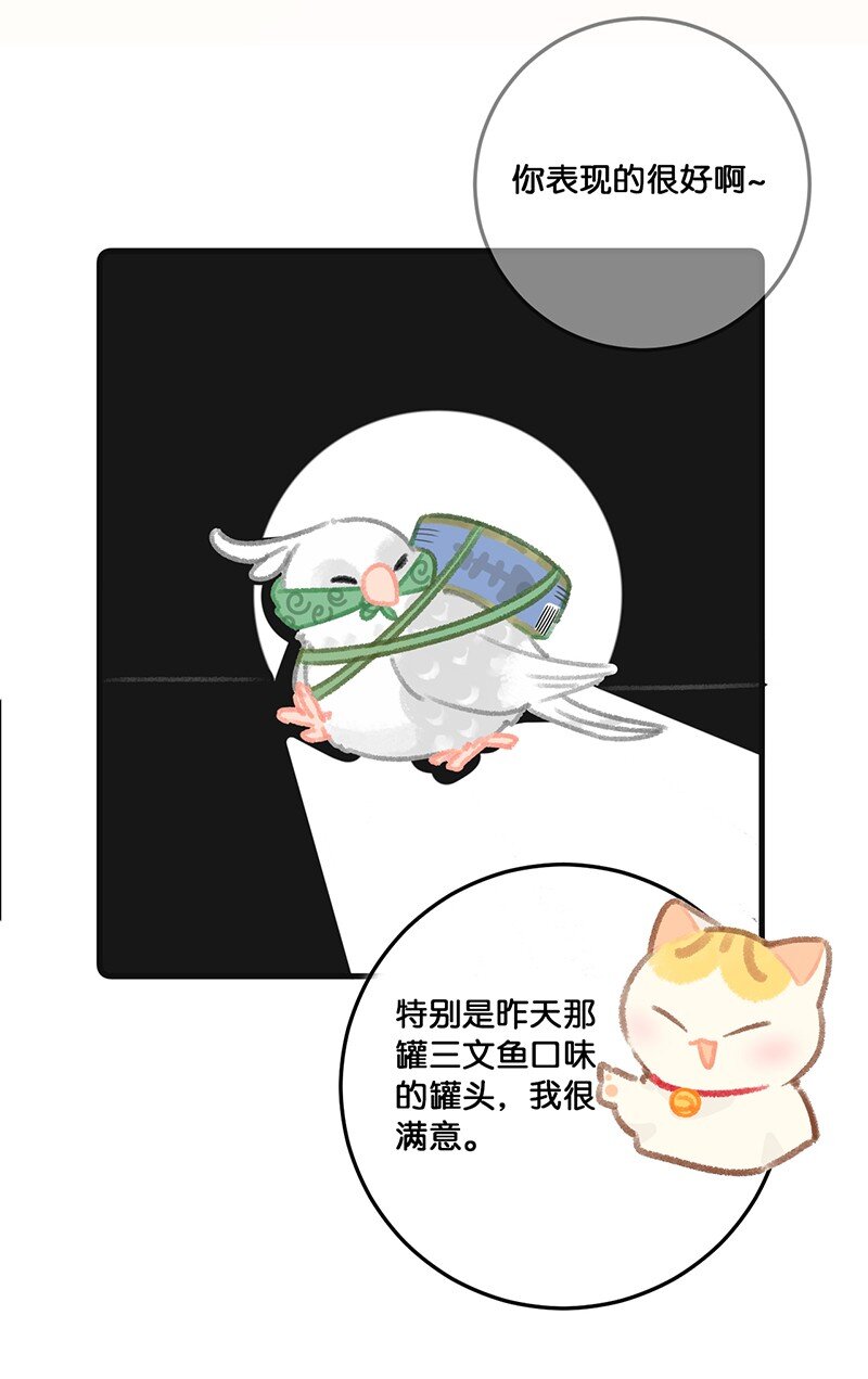 32 橘总对职场菜鸟的暖心鼓励-第35话