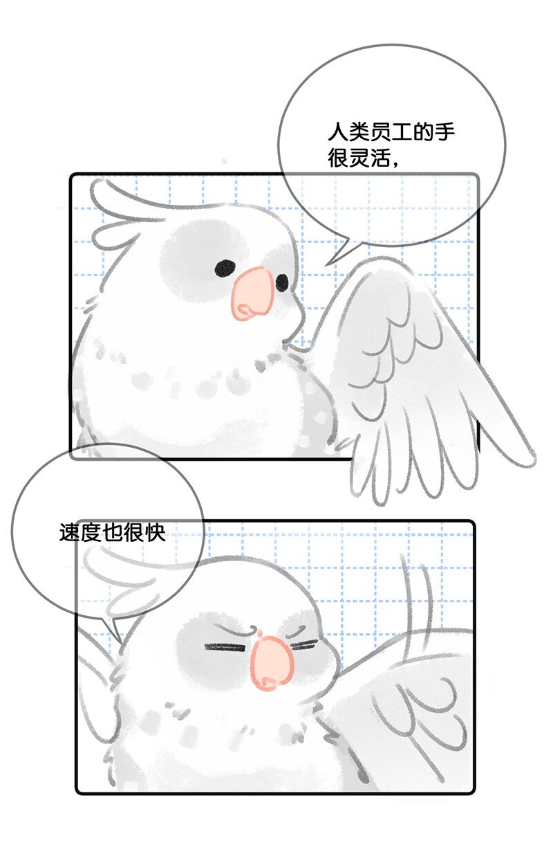 32 橘总对职场菜鸟的暖心鼓励-第35话