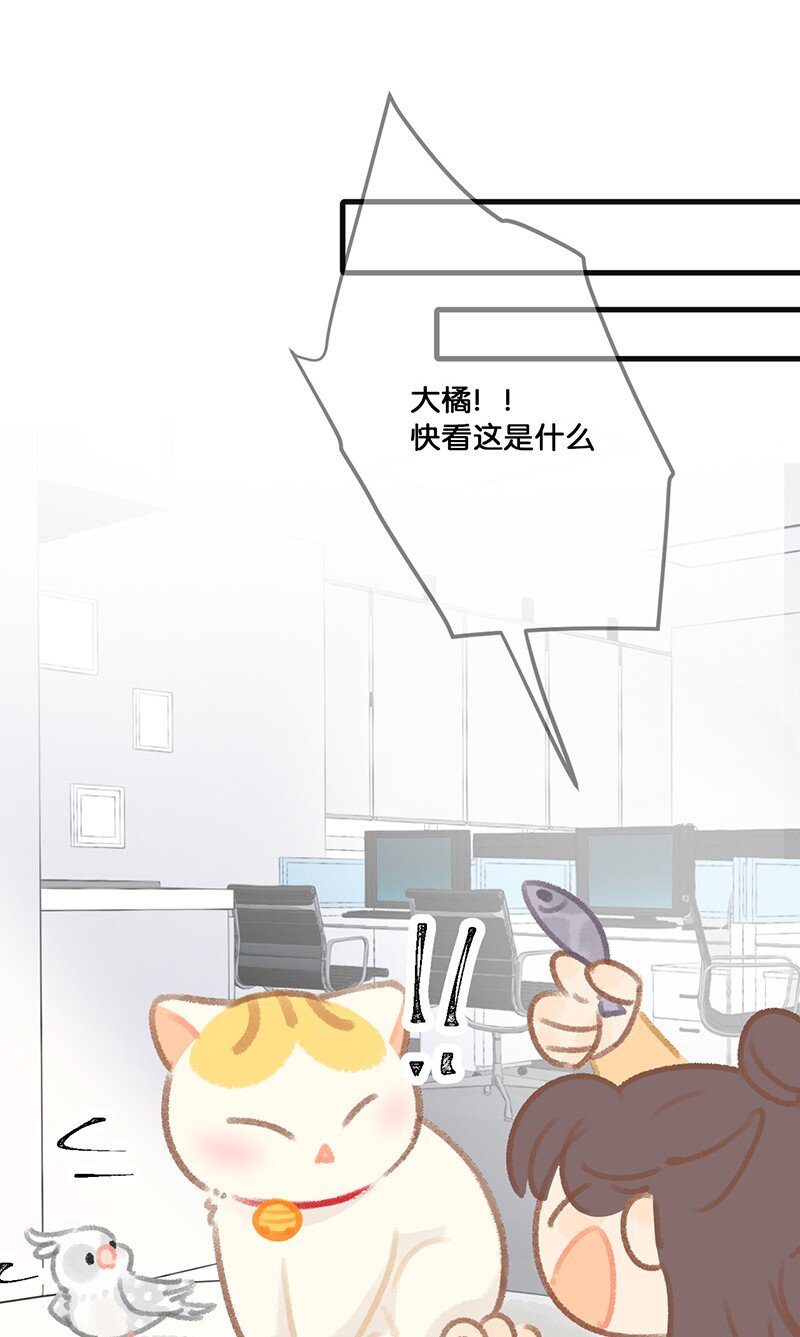32 橘总对职场菜鸟的暖心鼓励-第35话