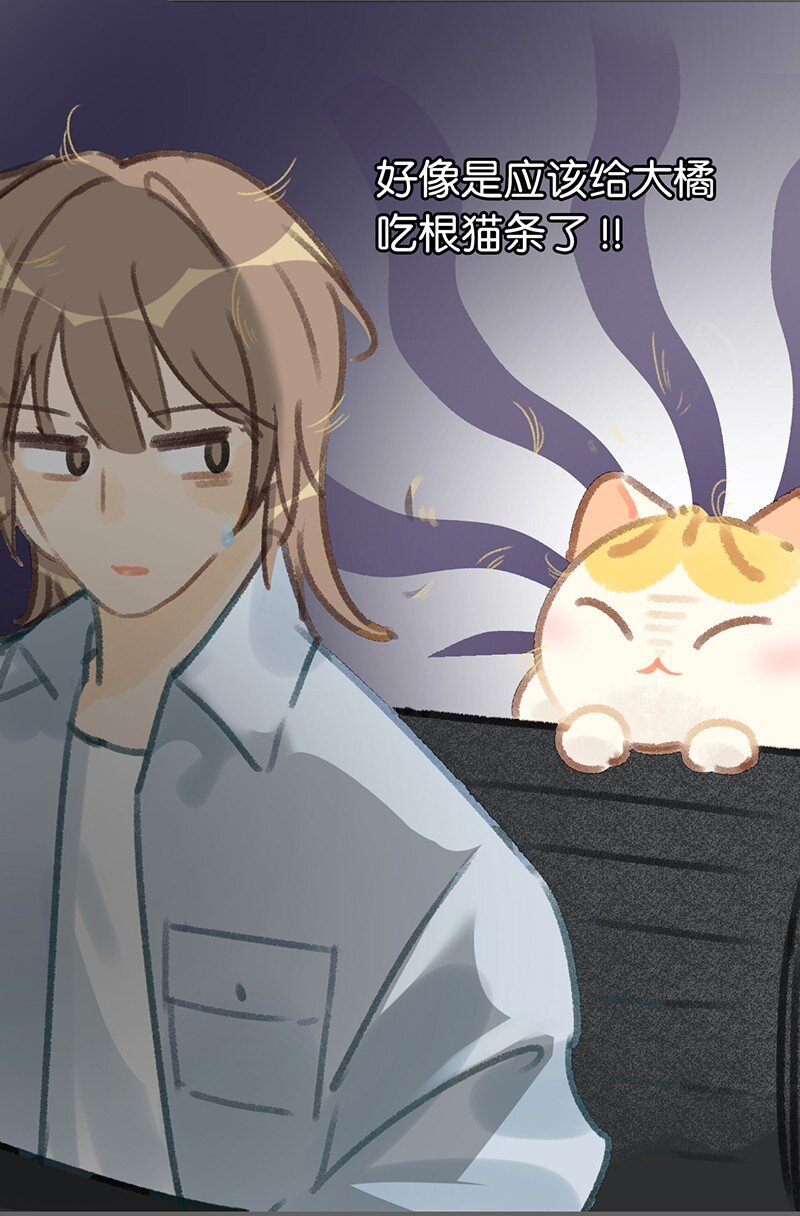 38 猫毛的多种用途？！-第41话