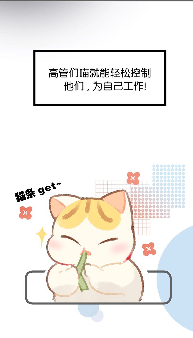 38 猫毛的多种用途？！-第41话