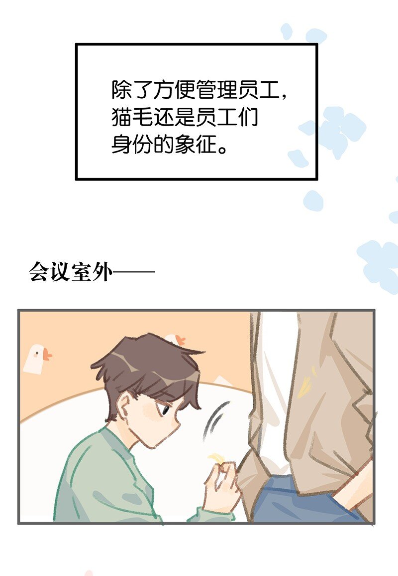 38 猫毛的多种用途？！-第41话