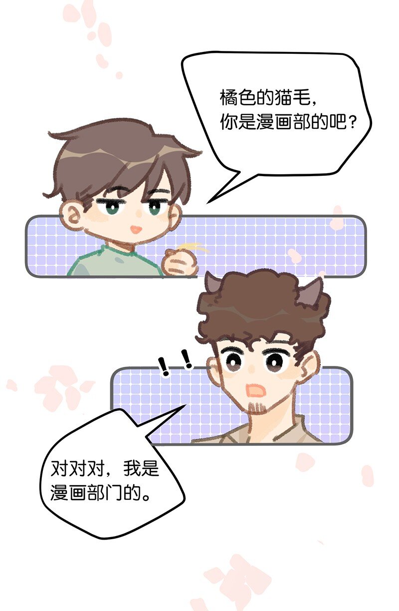 38 猫毛的多种用途？！-第41话