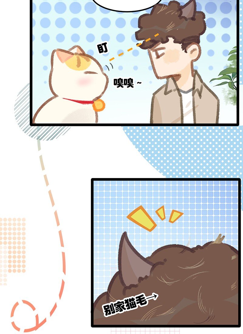 38 猫毛的多种用途？！-第41话