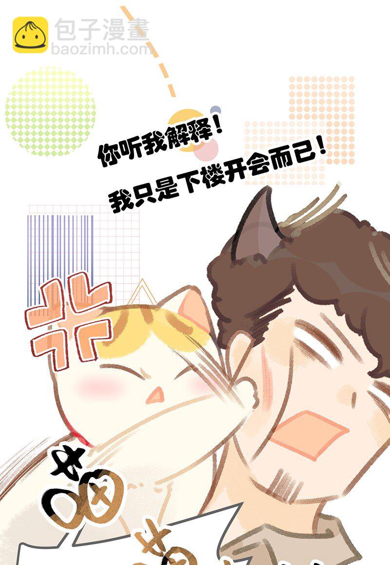 38 猫毛的多种用途？！-第41话