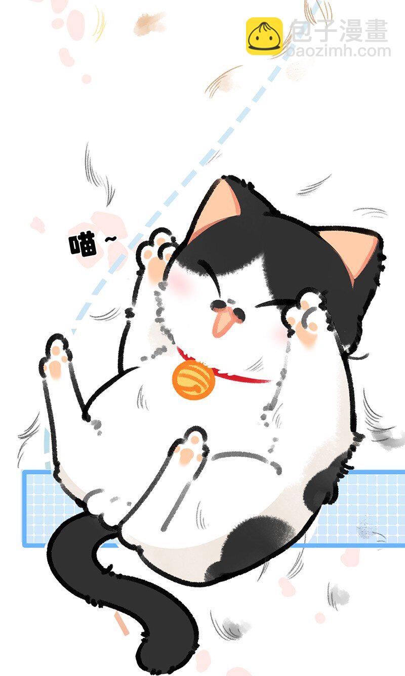 38 猫毛的多种用途？！-第41话