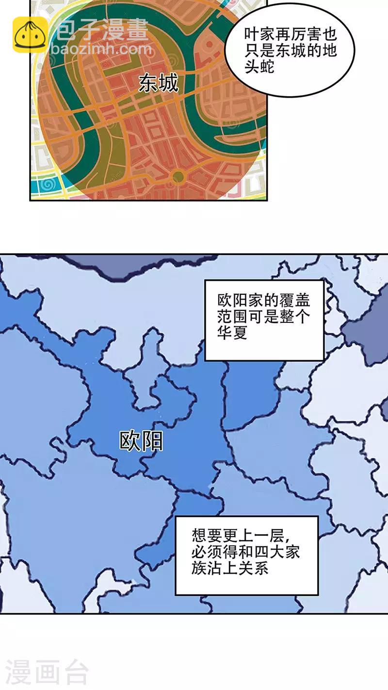 🍟妙手狂医 第97话 叶家 第6页