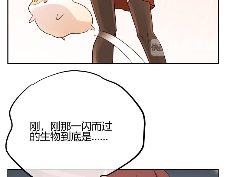 第46话 仓鼠的秘密(1/3)-第129话