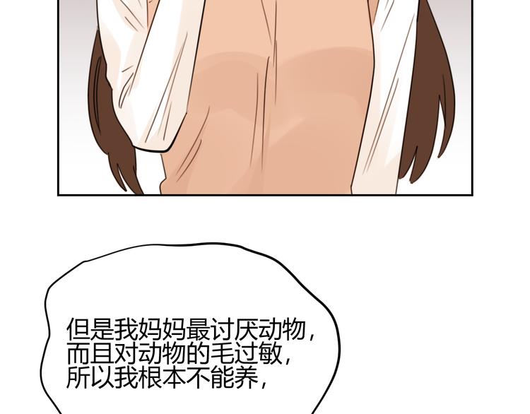 第46话 仓鼠的秘密(1/3)-第129话