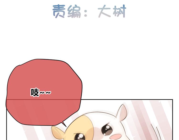 第46话 仓鼠的秘密(1/3)-第129话