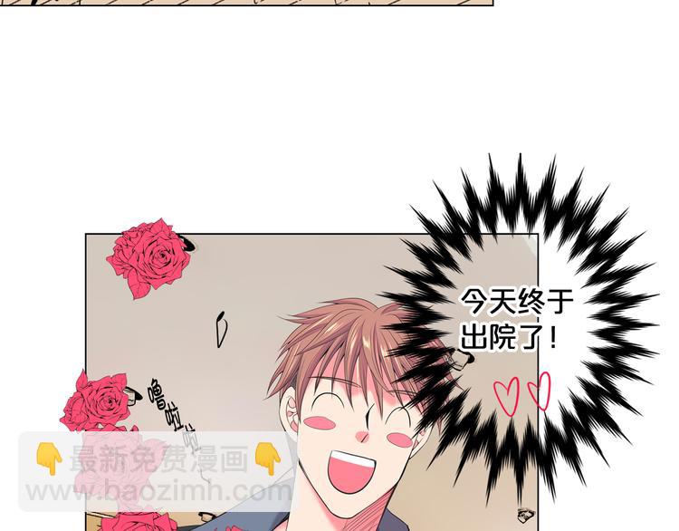 🍟名花无草——《名花有草》续篇 番外 幸福的延续 第3页