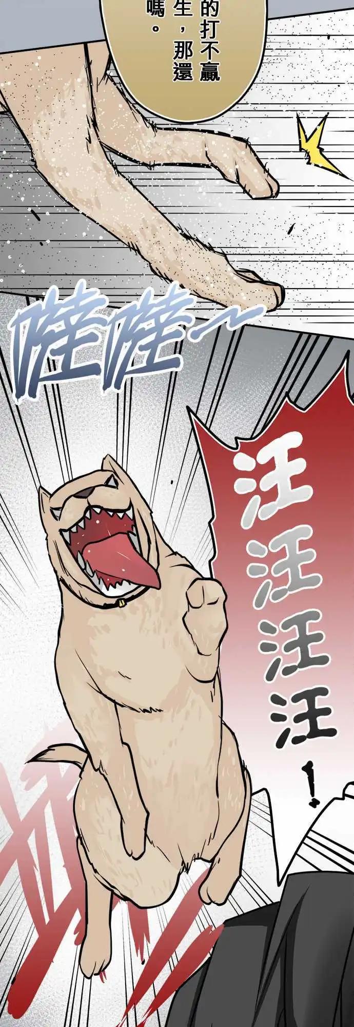 第37日 岳母-第35话