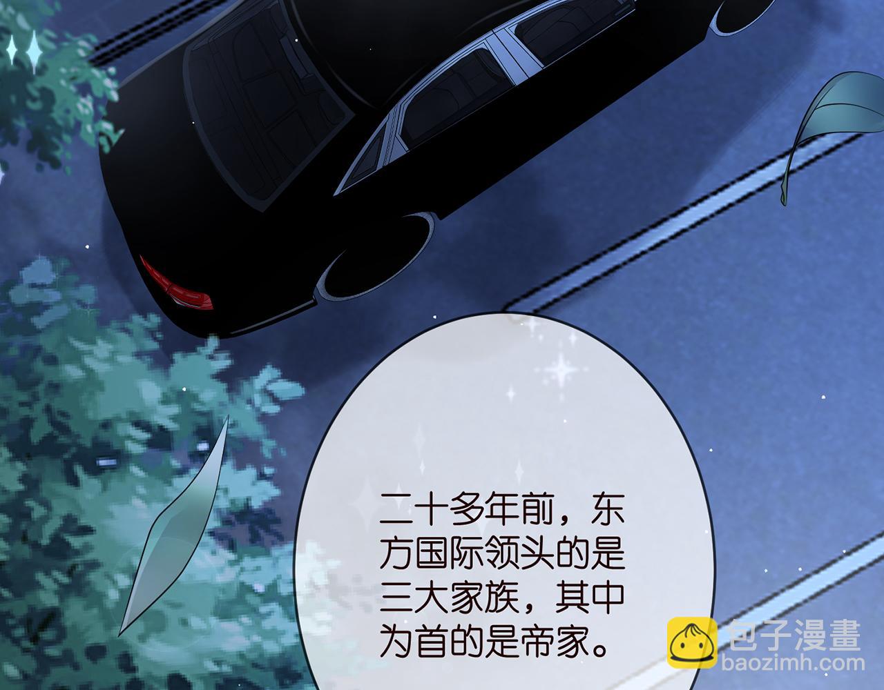 🍟名门挚爱 第377 慕子川的身世 第40页