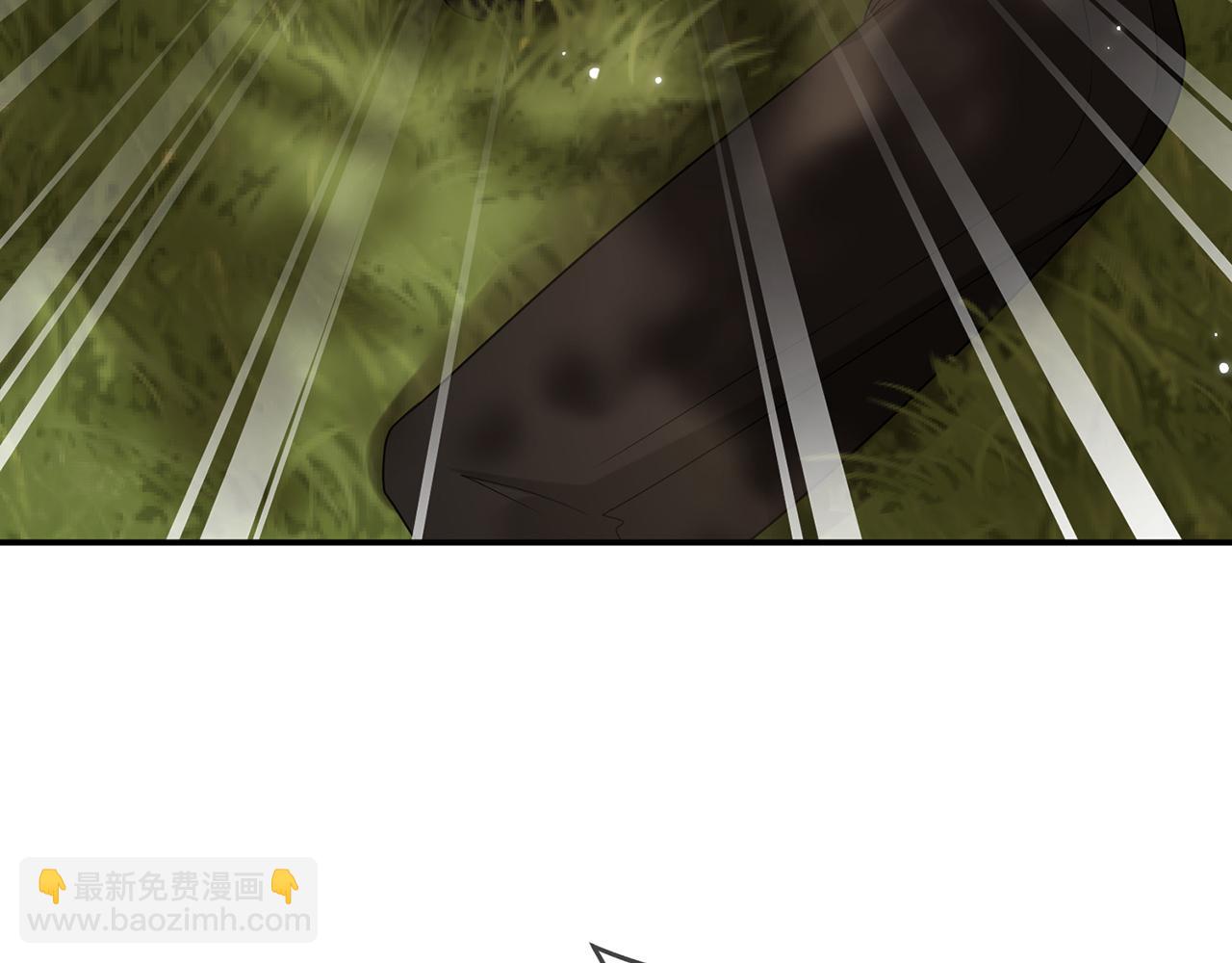 🍟名门挚爱 第415 暗夜杀手 第12页