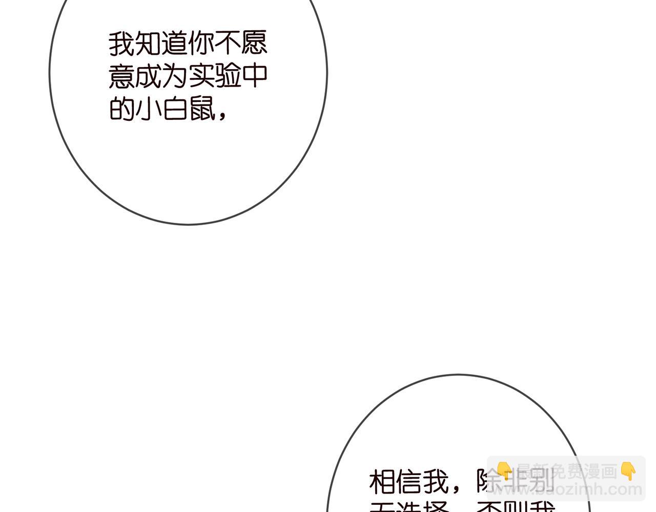 🍟名门挚爱 第477 飞鹰的秘密 第24页