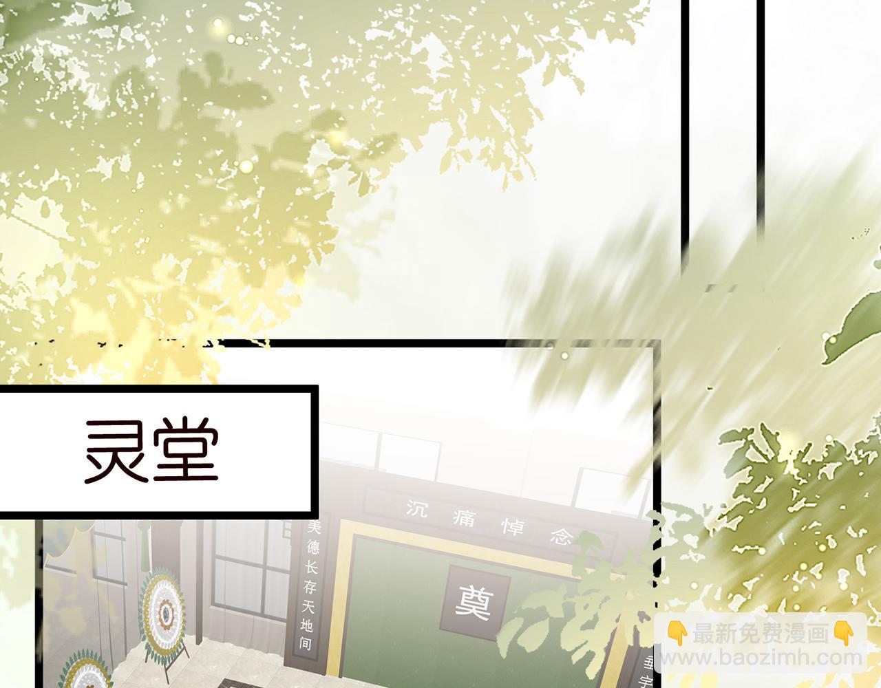 🍟名门挚爱 第489 丧礼 第49页