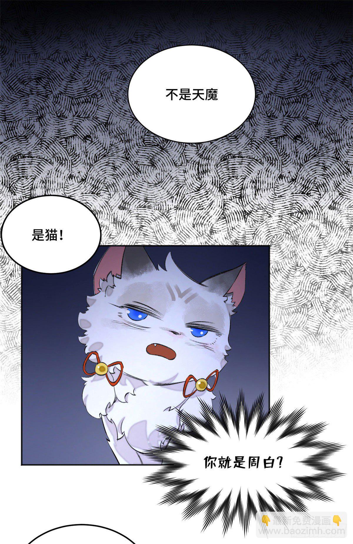 05 怪猫本体-第5话