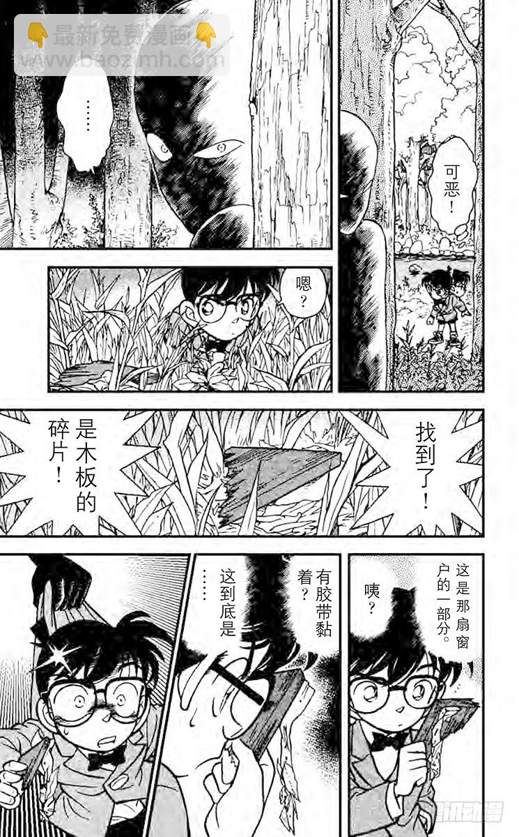 🍟名侦探柯南 FILE.9 櫻花与壁上的洞 第13页