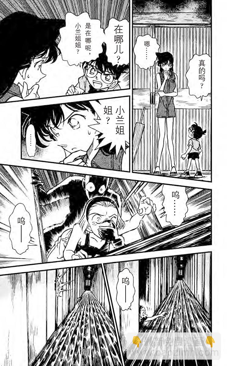 🍟名侦探柯南 FILE.8 加油！园子！ 第17页