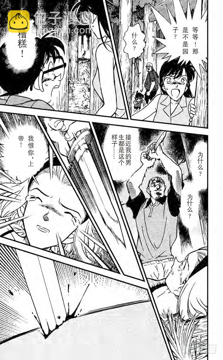 🍟名侦探柯南 FILE.10 冲撞王子 第13页