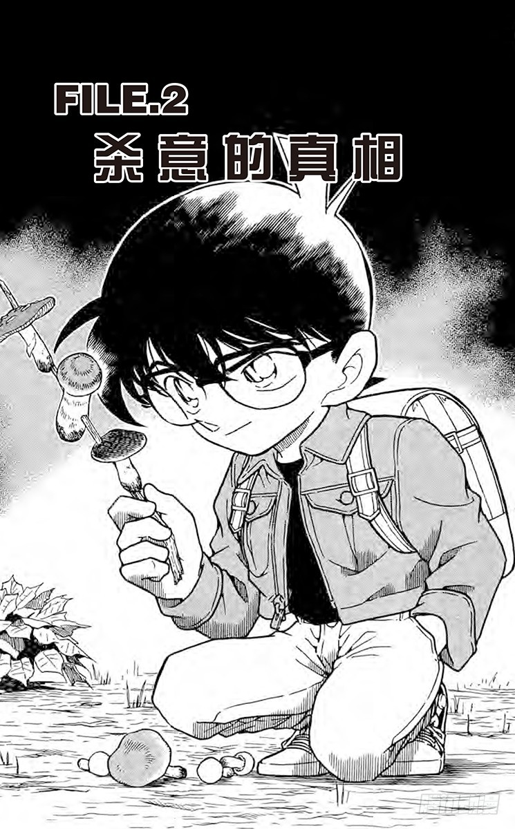 🍟名侦探柯南 FILE.2 杀意的真相 第1页