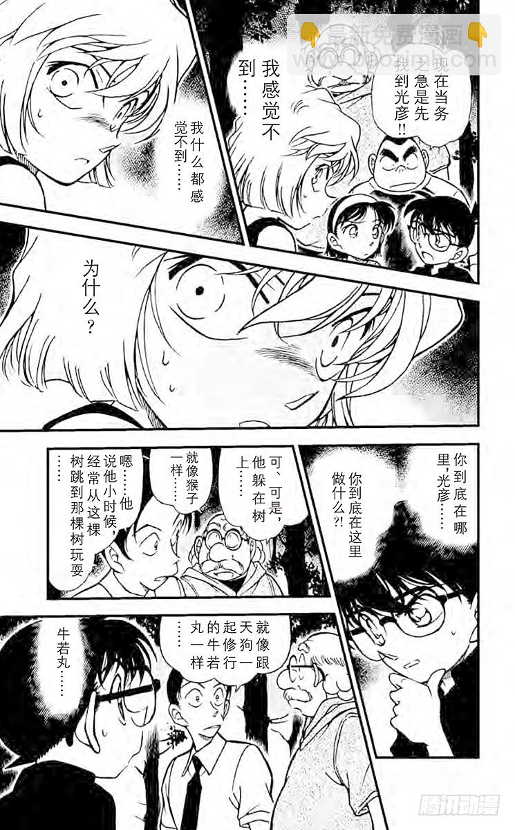 🍟名侦探柯南 FILE.9 失踪的光彦② 第13页