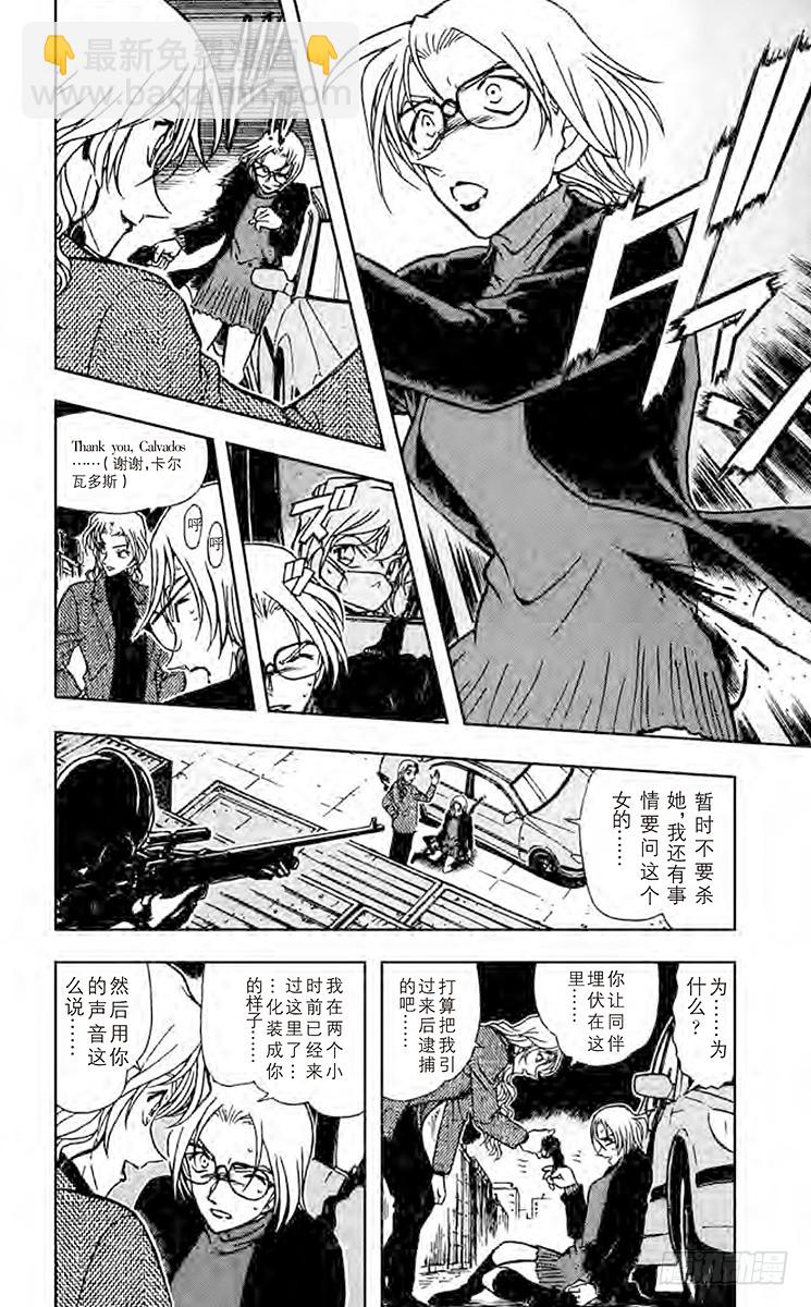 🍟名侦探柯南 FILE.9 假面下的真实 第10页