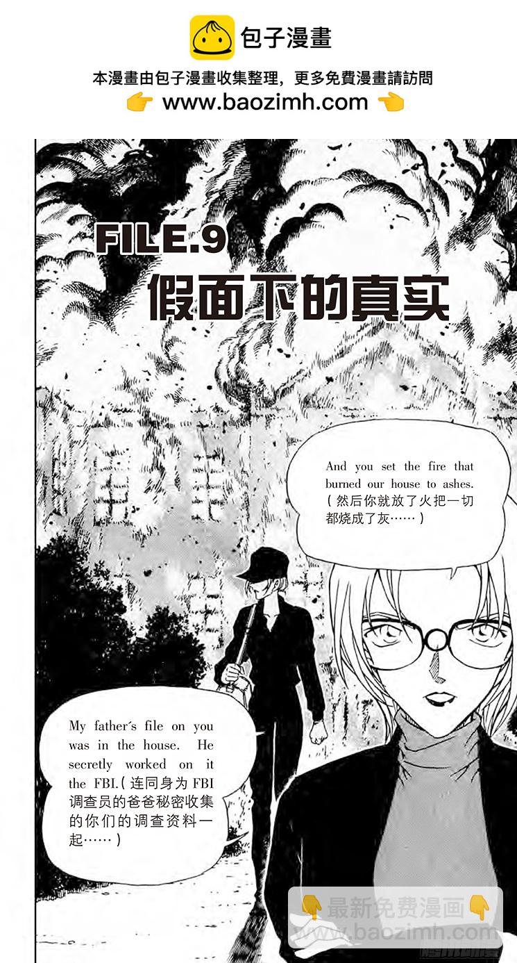 🍟名侦探柯南 FILE.9 假面下的真实 第2页