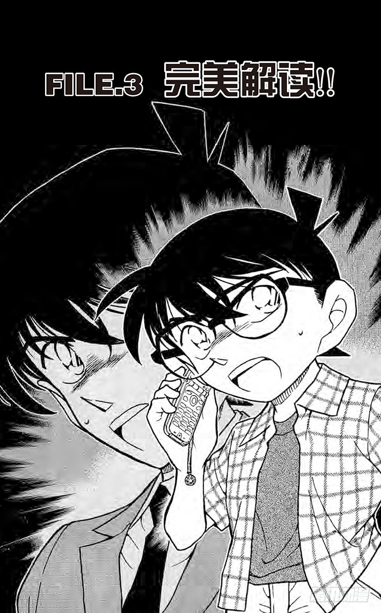 🍟名侦探柯南 FILE.3 完美解读!！ 第1页