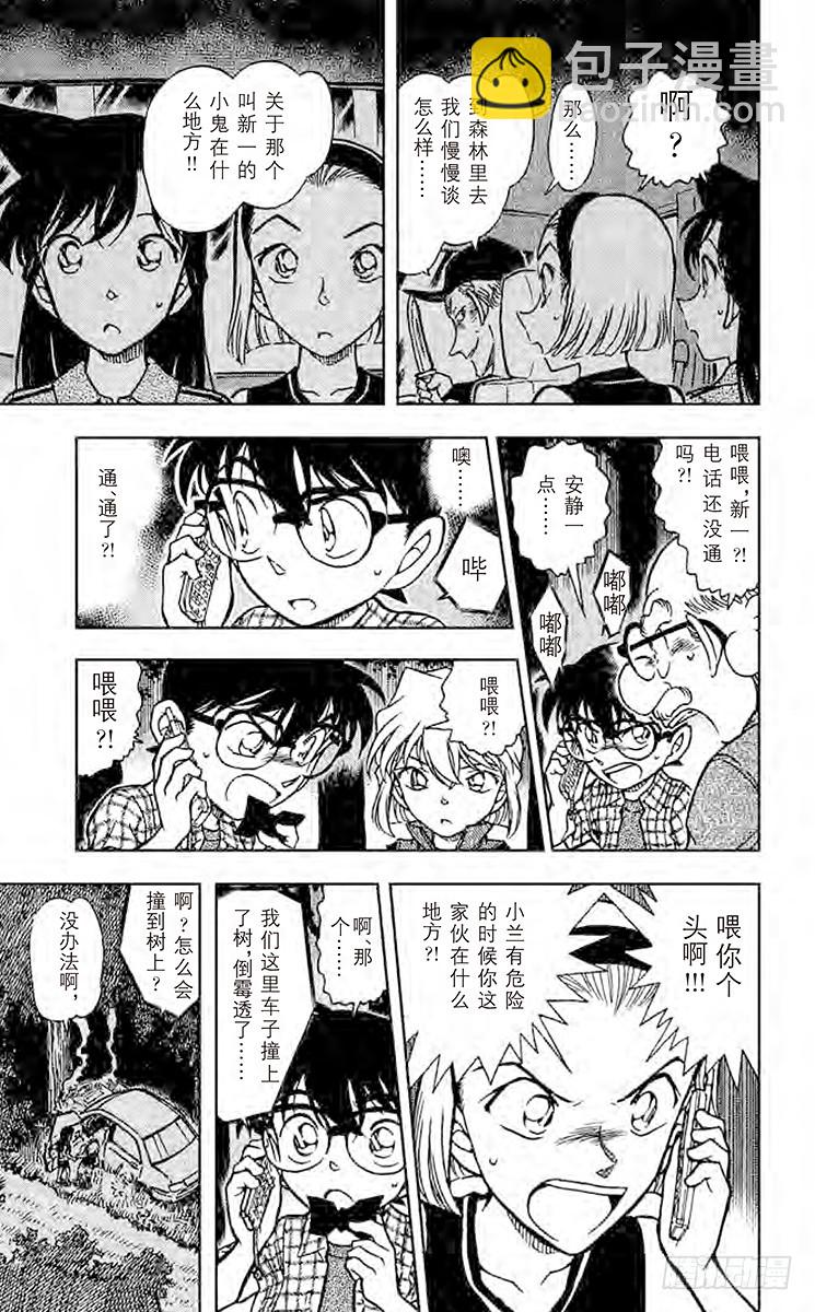 🍟名侦探柯南 FILE.3 完美解读!！ 第17页