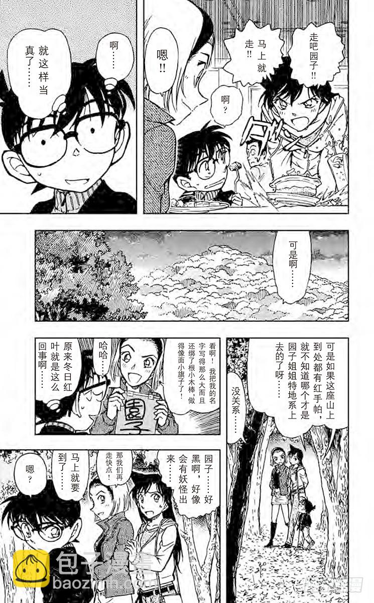 🍟名侦探柯南 FILE.9 园子的红手帕 第13页