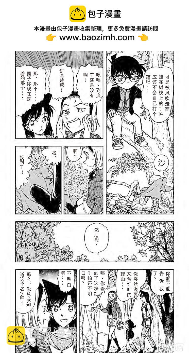 🍟名侦探柯南 FILE.9 园子的红手帕 第3页