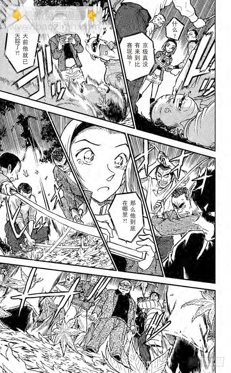 🍟名侦探柯南 FILE.11 超人 第13页