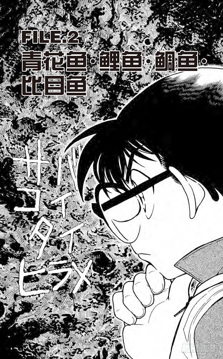 🍟名侦探柯南 FILE.2 青花鱼·鲤鱼·鲷鱼 第1页