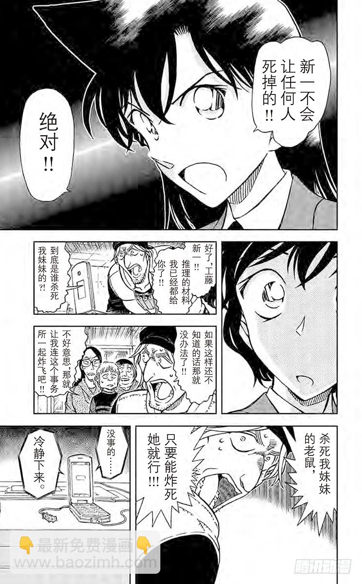 🍟名侦探柯南 FILE.11 狙击可能！ 第13页