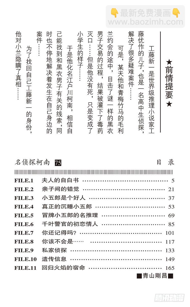 🍟名侦探柯南 第75卷FILE.1 夫人的自白 第4页