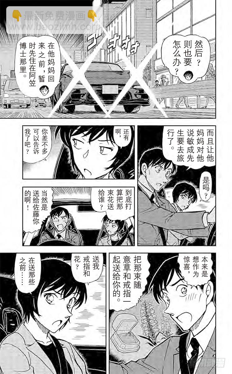 🍟名侦探柯南 FILE.10 红色徽章 第13页