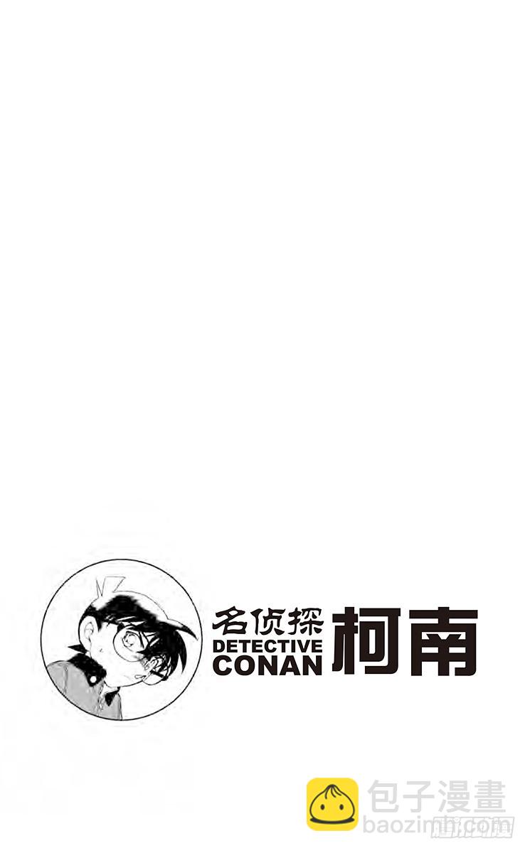 🍟名侦探柯南 FILE.11 波本的追寻，排色 第17页