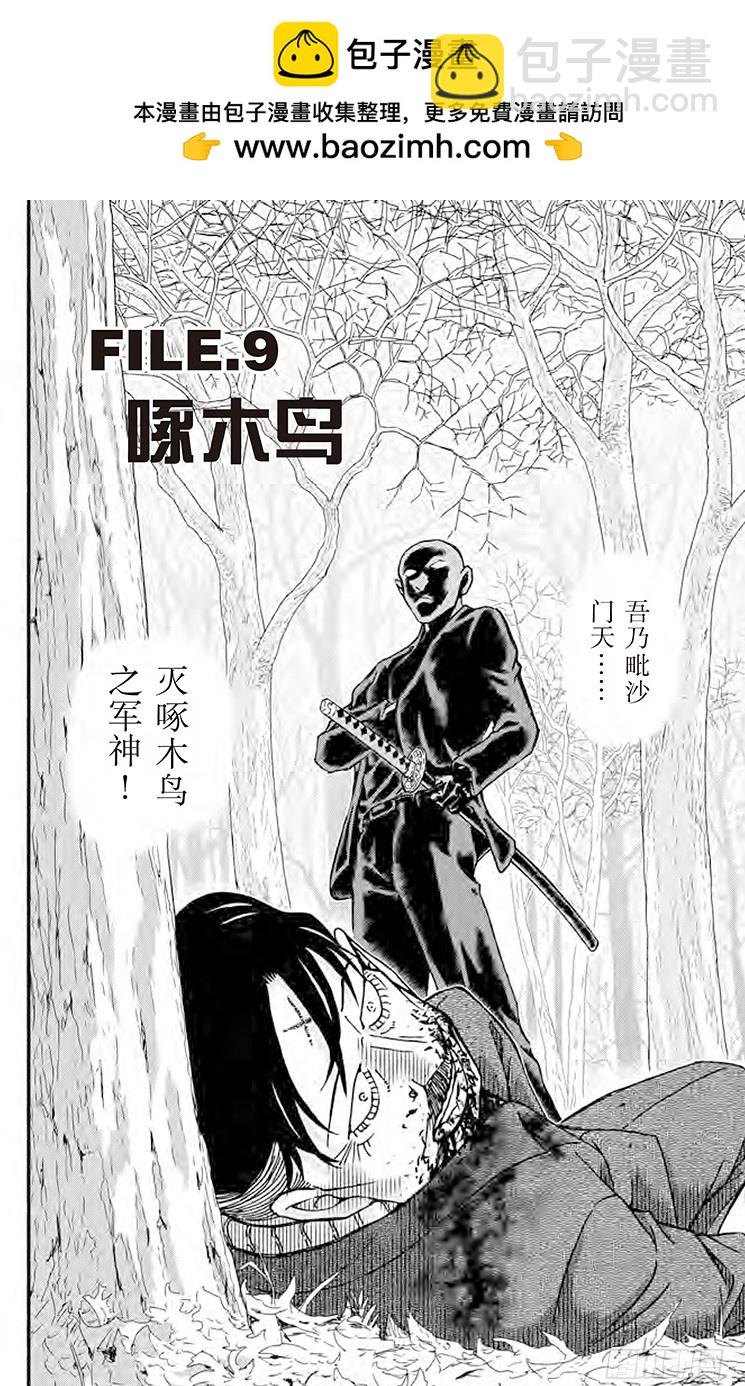 🍟名侦探柯南 FILE.9 啄木鸟 第2页