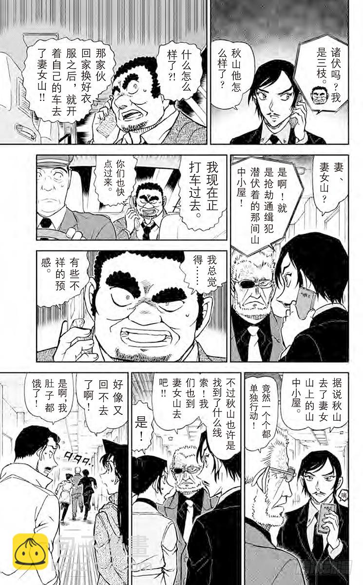 🍟名侦探柯南 FILE.11 到妻女山去 第13页