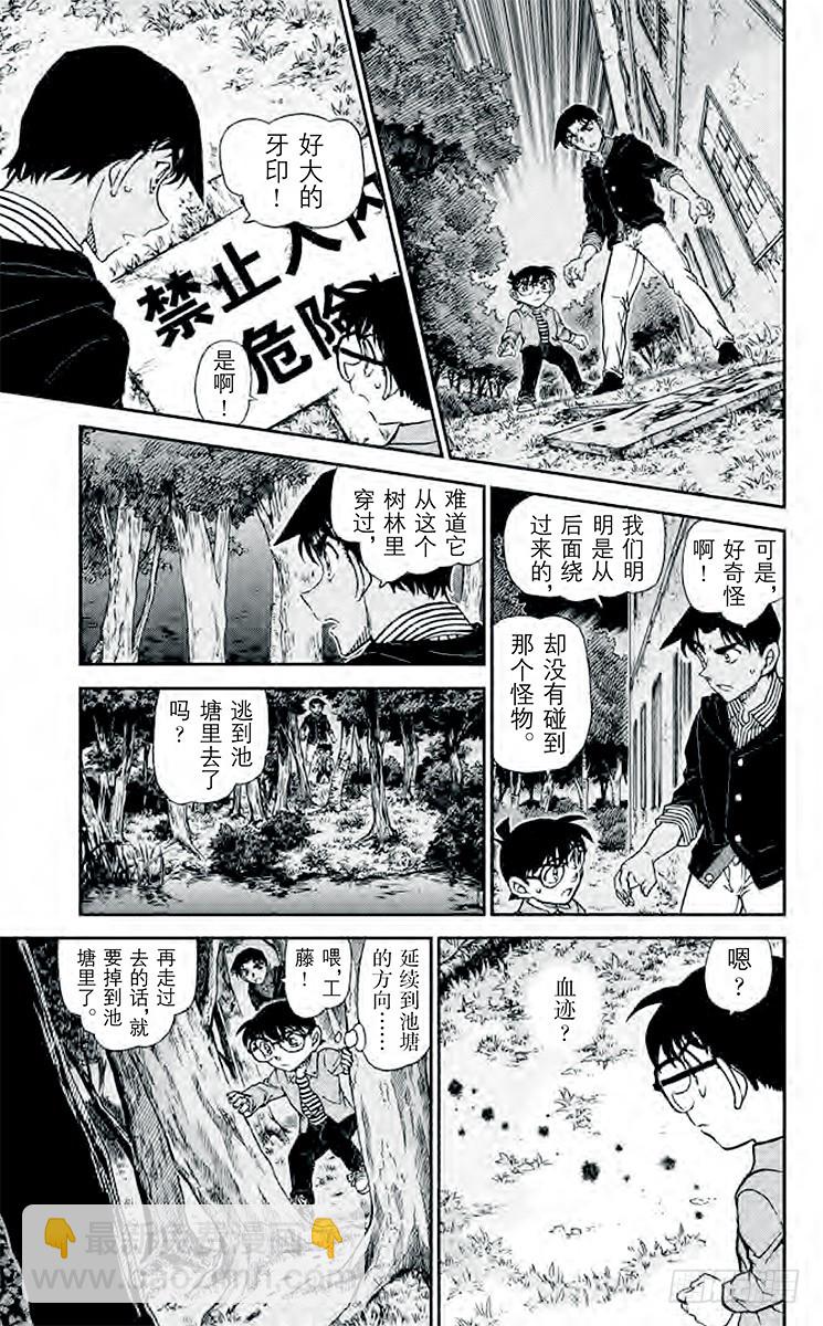 🍟名侦探柯南 FILE.11 鵺鸟鸣叫之夜 第15页