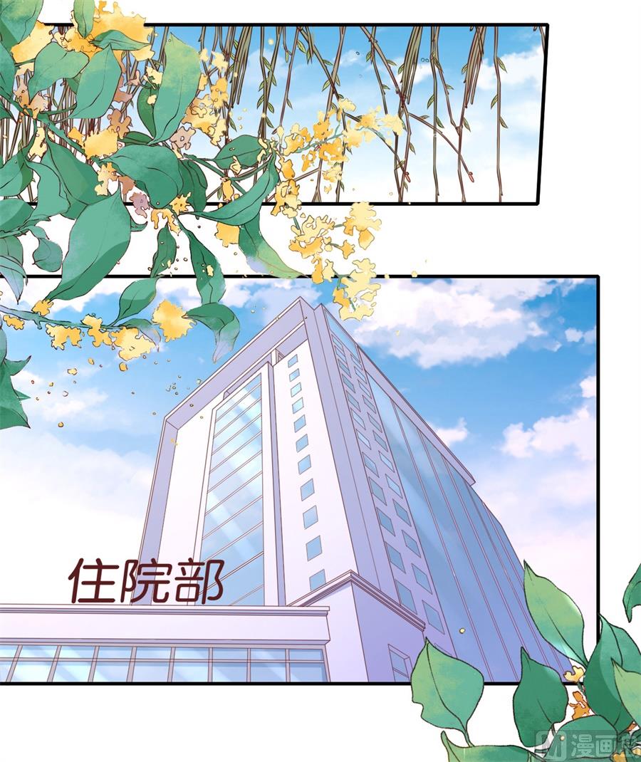 第269话 爱的奇迹-第269话