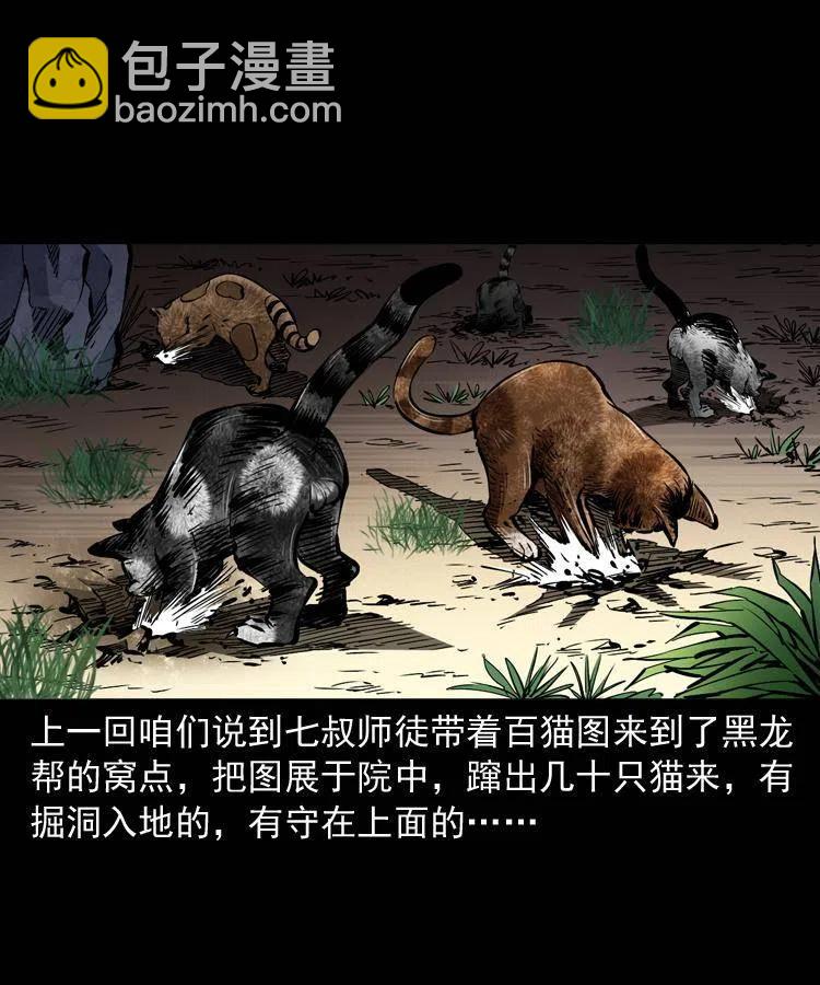 一百三十五话 百猫伏鼠(1/2)-第137话