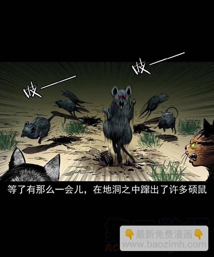 一百三十五话 百猫伏鼠(1/2)-第137话